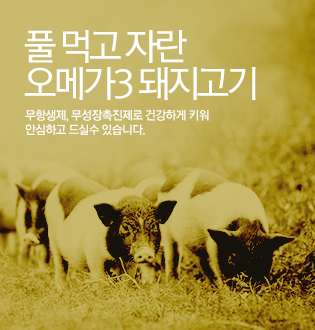 제품이미지